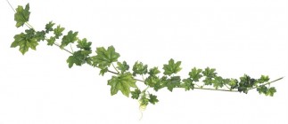 Искусственная гирлянда из листьев 6 шт/75 см 123CAN48YY-12D купить в Минске – цена оптом и в розницу, характеристики | floradecor.by - фото